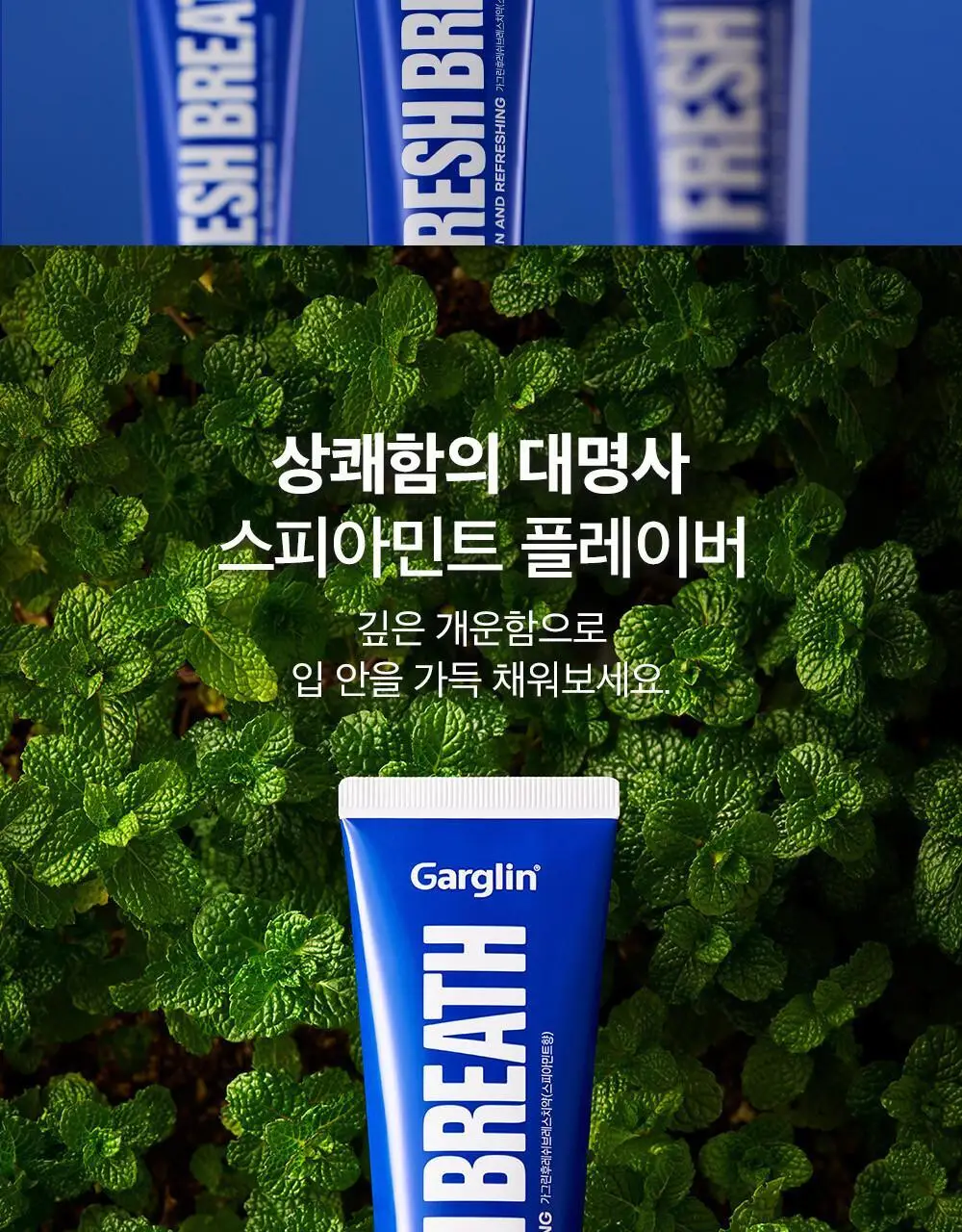 [불소포함] 가그린 스피아민트 치약 120g 상세페이지 15